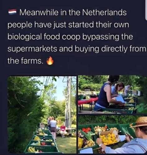 food netherlands