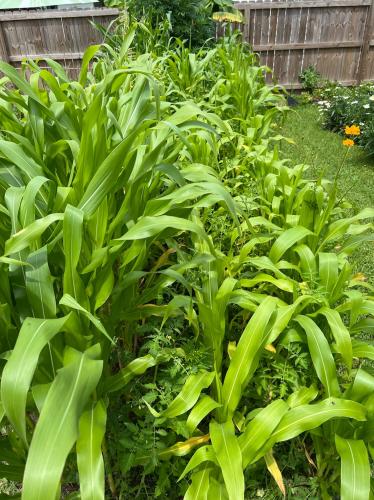 1E770E4A-1648-4ECA-9BE9-0677AC4AA414