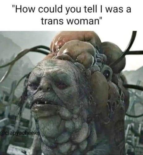 IMG_20240630_175529_657