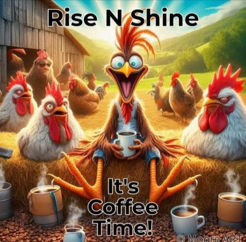 448767403_462184909840510_2839352982304837463_n