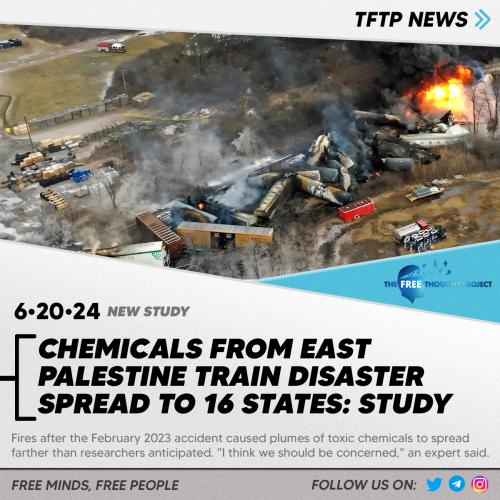 453654321321345312312345321345334444