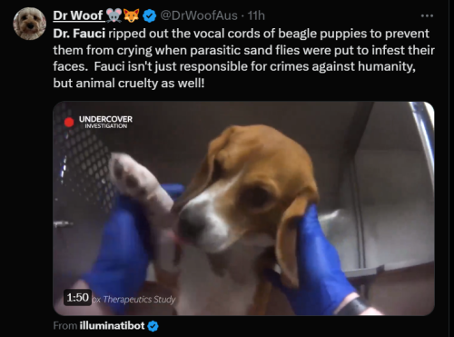 Screenshot 2024-06-19 153319