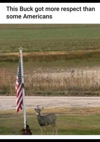 449336738_987048259530456_1824156981058886043_n