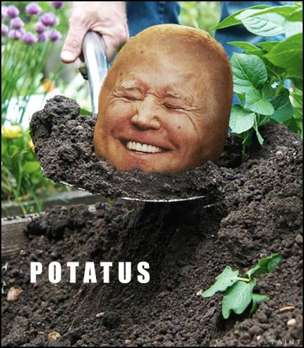 Potatus 3