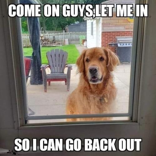 come-on-guys-let-so-can-go-back-out