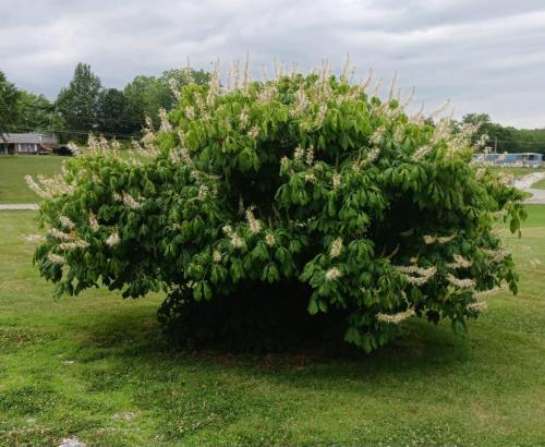 7481d9aa-1b7b-4693-a75d-130e614b0c46