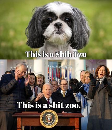 this is a shit zoo.800px