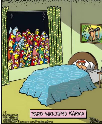 447482087_313413585145306_2817689621149539465_n