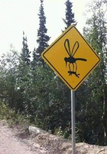 444125133_7852357211509621_8283633585931003705_n