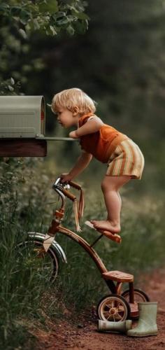 img-c6862946