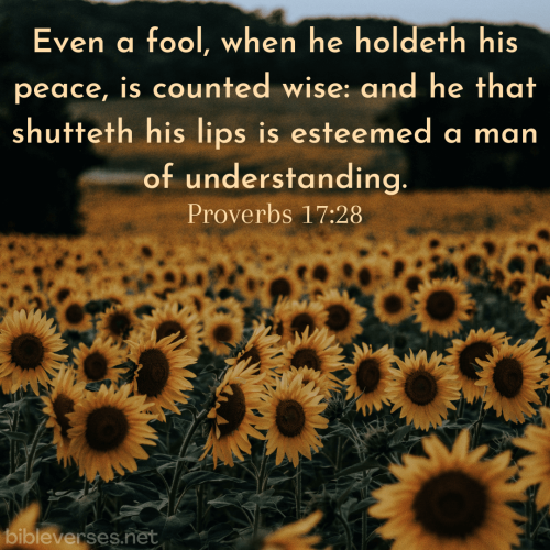 proverbs-17-28