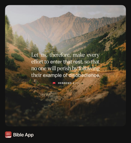 FAITH - Hebrews 4.11