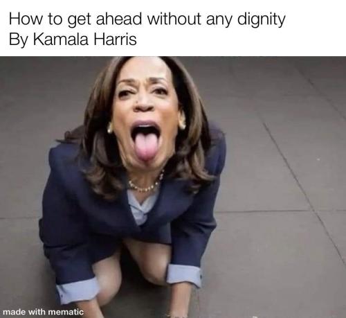 image_A2C23412-7E60-4036-9027-9B484DC8D611