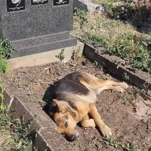 20240611_162203