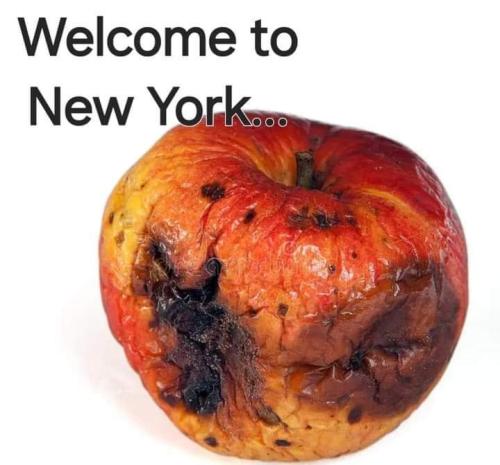 FB_IMG_1717442931391