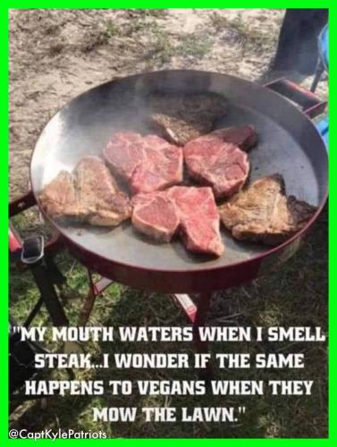 IMG_20240604_124840_739