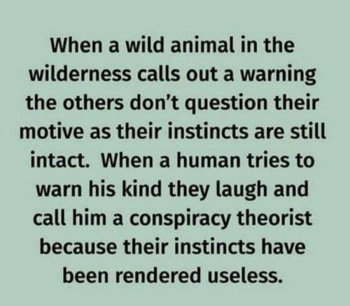 Screenshot_20240621_054116_Facebook