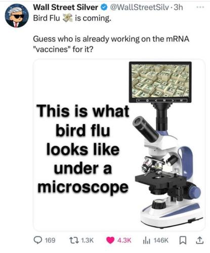 photo_2024-06-03_11-48-10