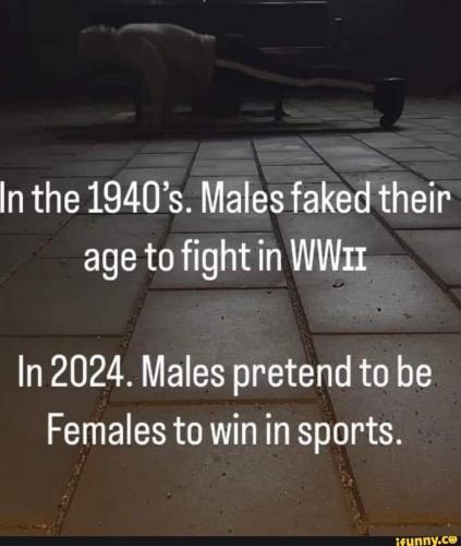 a51dc399-1d0d-47db-be30-a6136a955e77