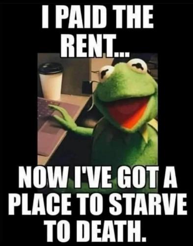 image_C4E76720-7027-471D-BDBF-E794E7A8C1B5