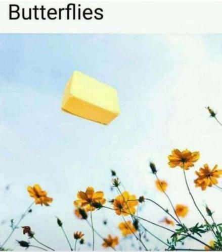 448340583_8335924543104450_2660990507751458332_n