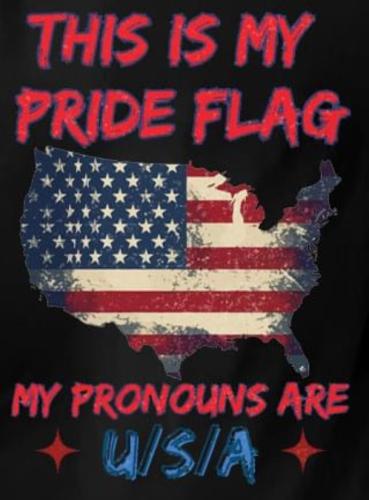 my pride lag usa wim 2