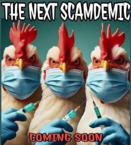 photo_2024-06-18_19-17-30