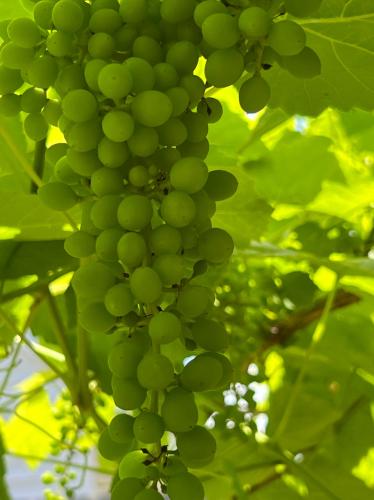 65E6C5AC-675C-4A73-BF76-11E0B21E4A4C