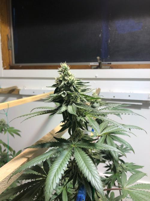 9042AC7B-5503-44E4-B4AB-14326B49C7F4