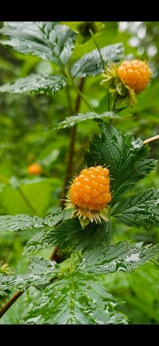 Screenshot_20240617_192302_Gallery