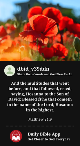 2024-06-271719486110164