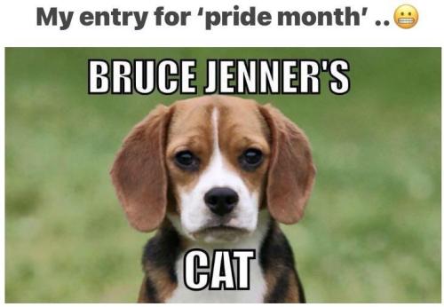 image_AB626E3D-A216-4927-98BF-F3F1774941F7