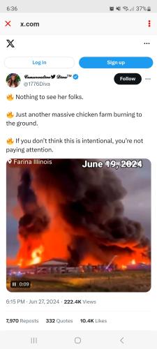 Screenshot_20240628_183656_Wimkin Free Speech Social Media