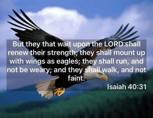 aa456264-05c7-4a76-a5ab-287cd6488be4