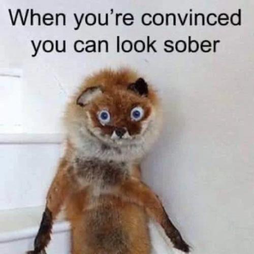 IMG_20240614_130306_254