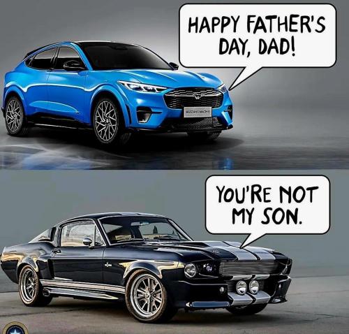 image_553F80AB-CC11-43FF-8902-F23B0FCB08AC