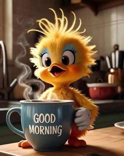 448886161_377104115384280_8149996860028024313_n