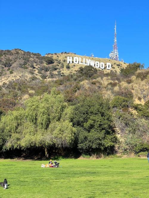 WhatsApp 图像2024-06-22于03.28.57_c8937ff8