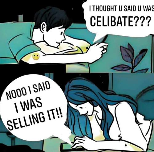 image_A2984753-A147-4BA9-B5D1-034BF7E27489