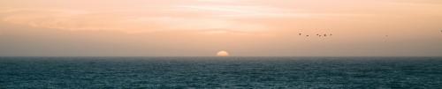 odb20240628