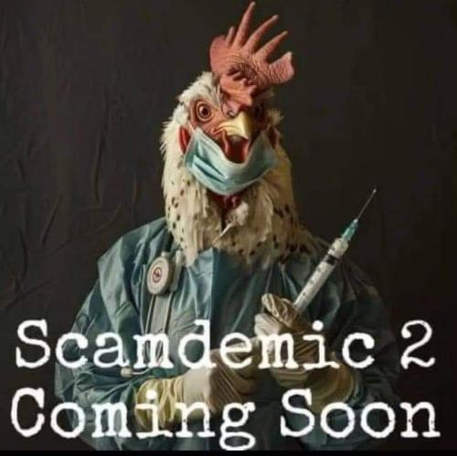 449050290_440684245403109_914320782340315759_n