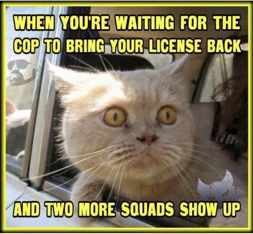 Screenshot_20240628_062948_Instagram