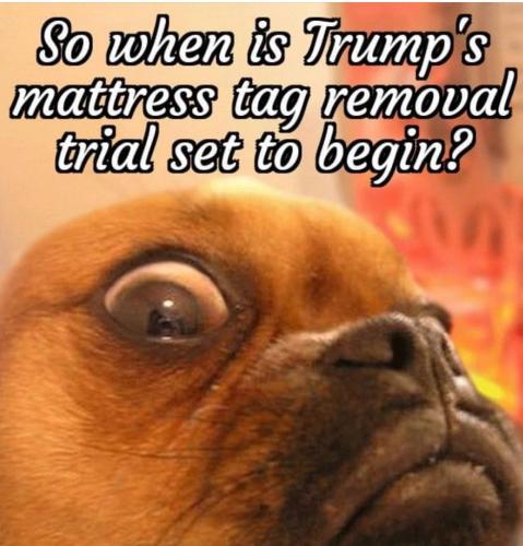 4F963465-5808-4D0B-9C92-9C3BF43A2181