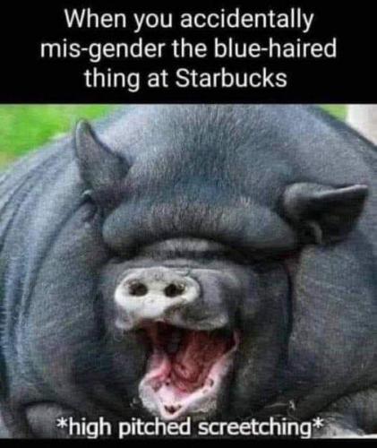 FB_IMG_1717454132931