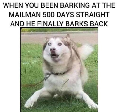 449453239_8405294309500806_2137033399490387416_n