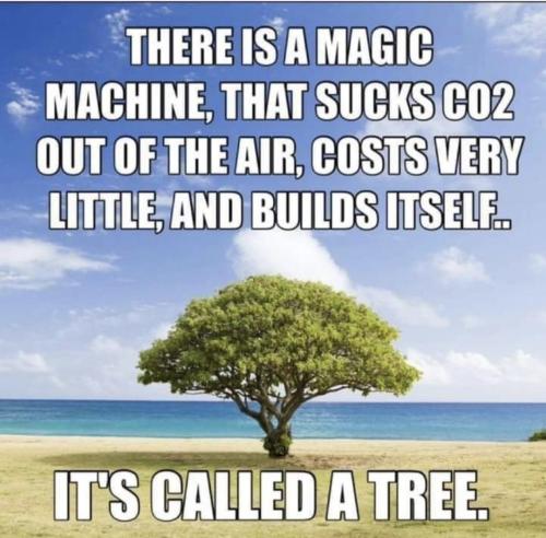 Screenshot_20240610_082314_Facebook