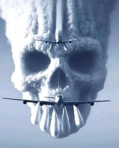 IMG_20240625_084641_207