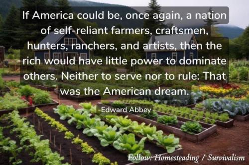 photo_2024-06-22_19-00-45