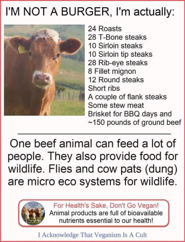 not a burger