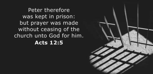 b2cac4c9-5319-47e6-94ee-f80853831c65